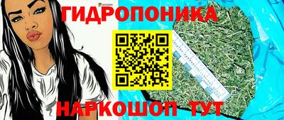 крисы Краснодар