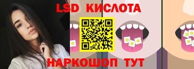 крисы Краснодар