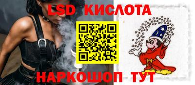 крисы Краснодар