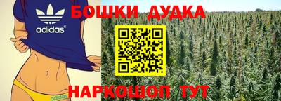 крисы Краснодар